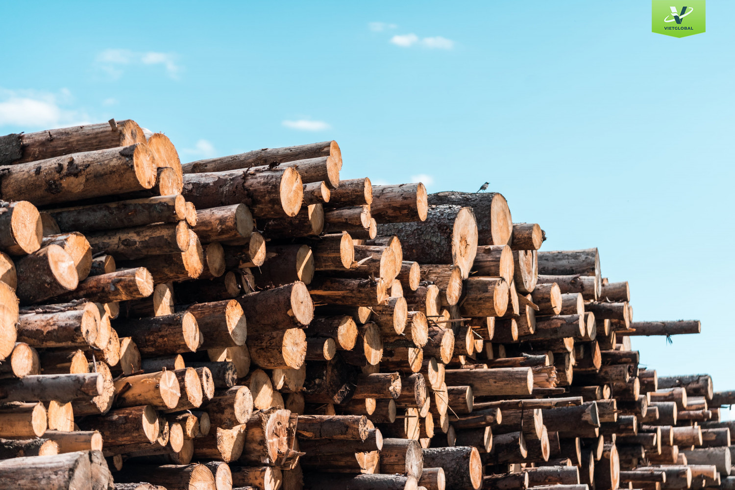 Structure and Characteristic of Plywood