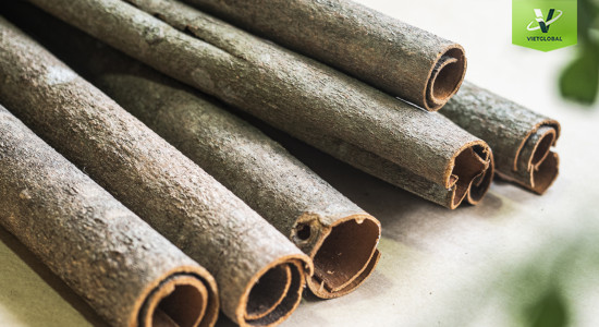 Quế - Thảo dược cho những vị thuốc thơm nồng