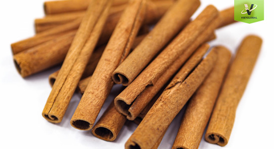 Quế điếu ngắn